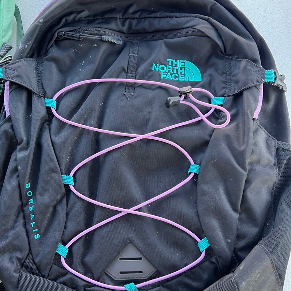 THE NORTH FACE borealis backpack